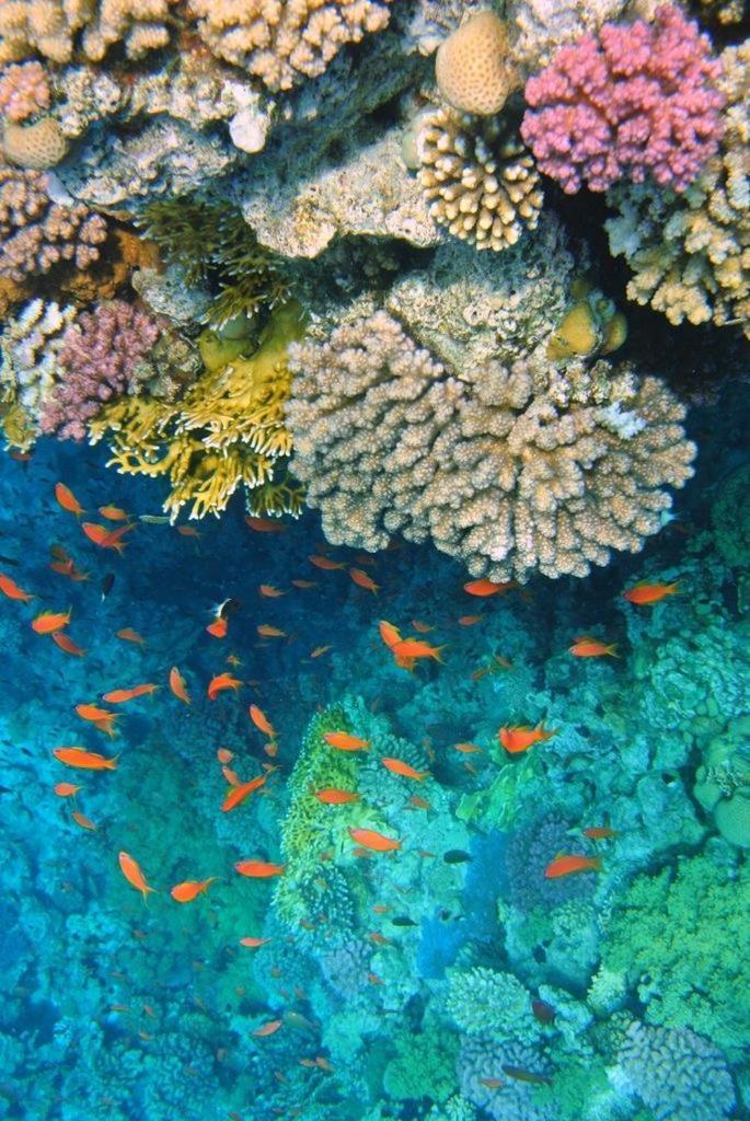 Porto Elsheikh-aqua Park View Sarm es-Sejk